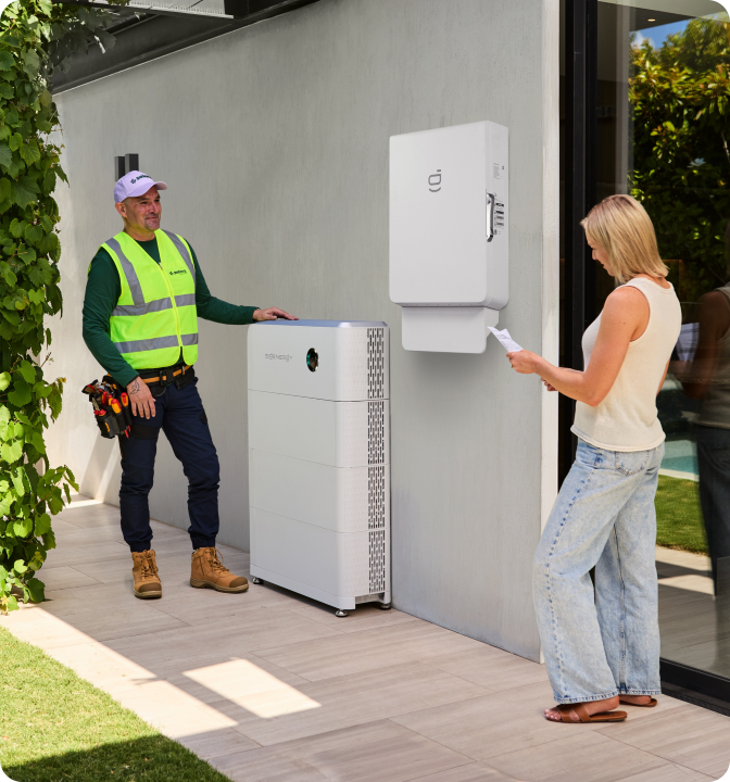 Zelora-Installer-Installation